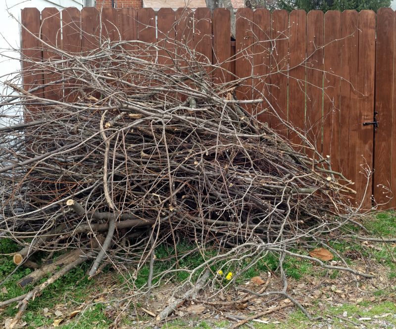Fence Removal and Disposal